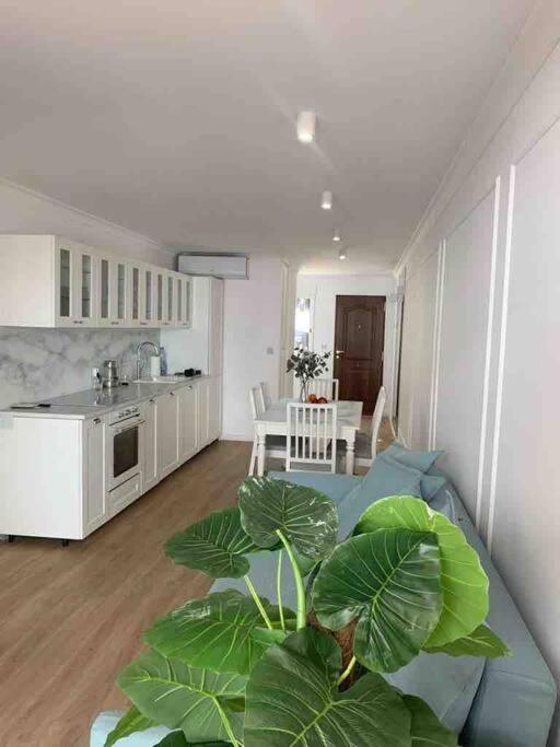 Flaming Apartment 4F Torrevieja Eksteriør billede